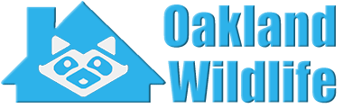 Oakland Wildlife and Animal Removal